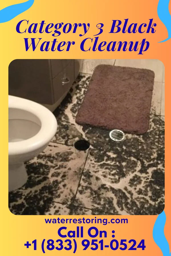 Category 3 Black Water Cleanup in Broken Bow, OK